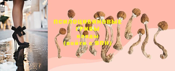 мяу мяу мука Белоозёрский
