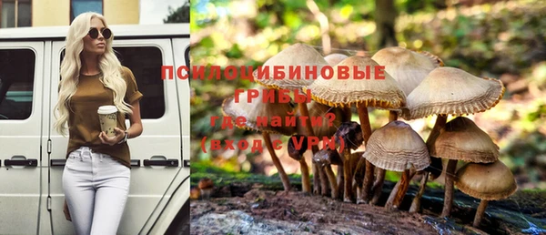 ГАЛЛЮЦИНОГЕННЫЕ ГРИБЫ Балахна