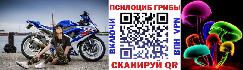 Галлюциногенные грибы ЛСД Гатчина