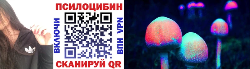 Галлюциногенные грибы Psilocybe  Гатчина 